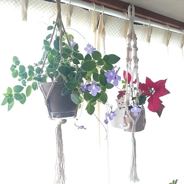 NOAHさんの実例写真