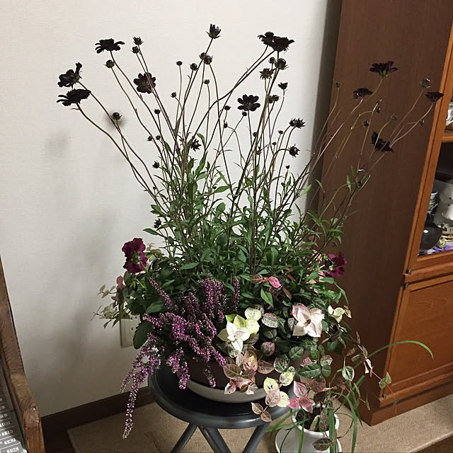 guiさんの実例写真