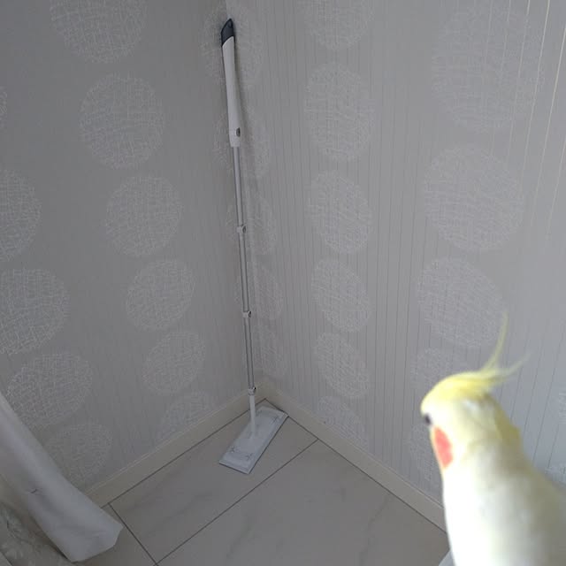 toratanさんの実例写真