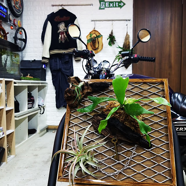 Daiさんの実例写真
