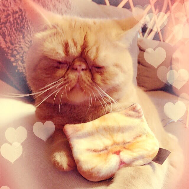 sweetchocochanさんの実例写真