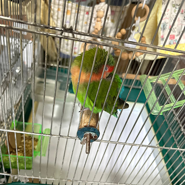 t.and.sakuraさんの実例写真