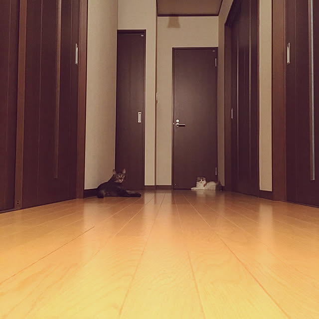 anさんの実例写真