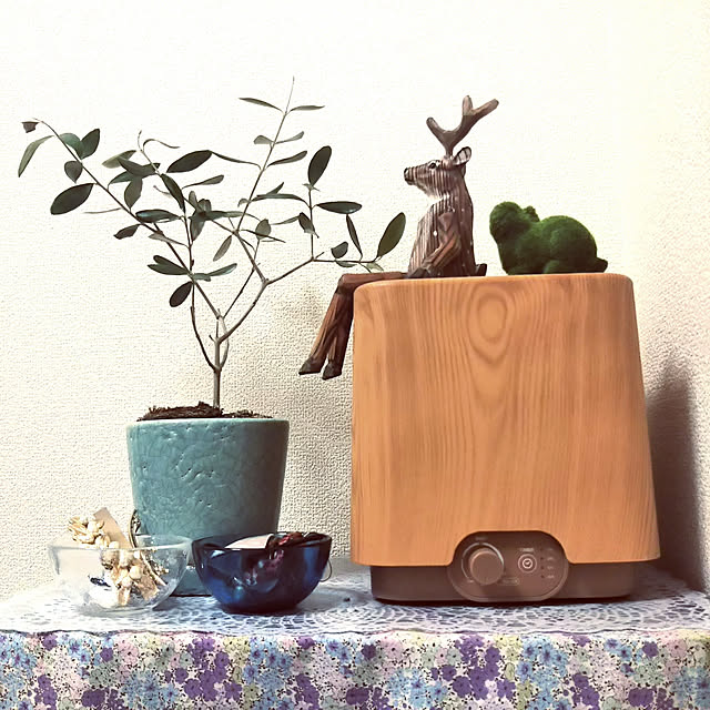 ktmkさんの実例写真