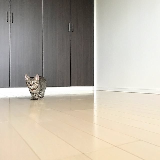 kettiさんの実例写真