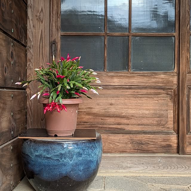 kuririnmamaさんの部屋