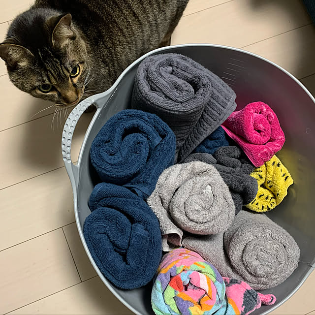 lynnさんの実例写真