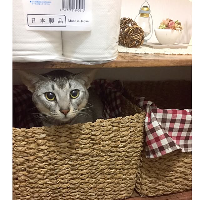 kotoriさんの実例写真