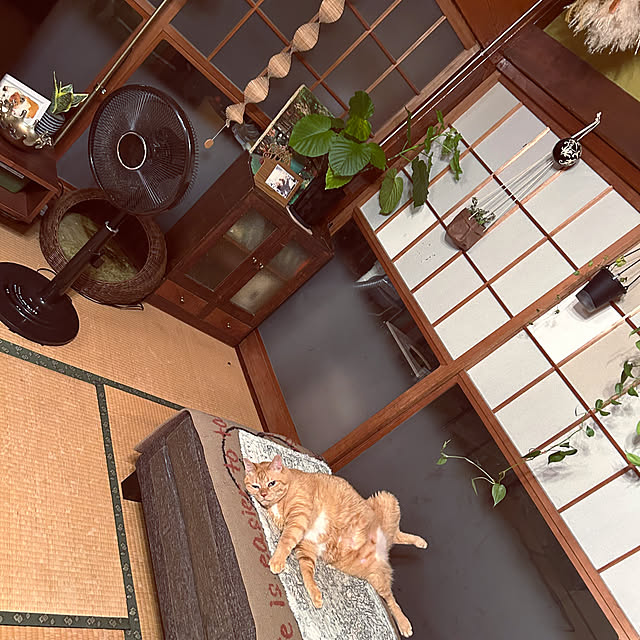 choroさんの実例写真