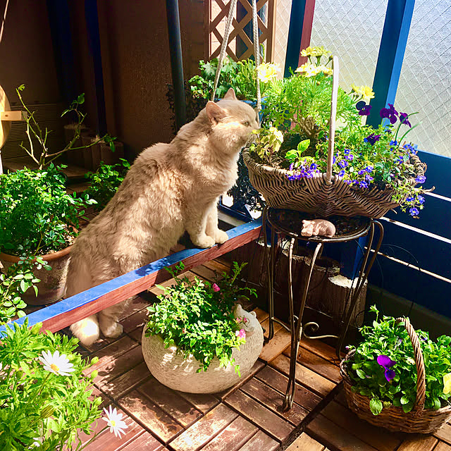 naokoさんの部屋