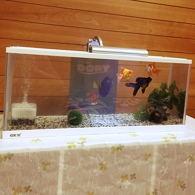 38さんの実例写真