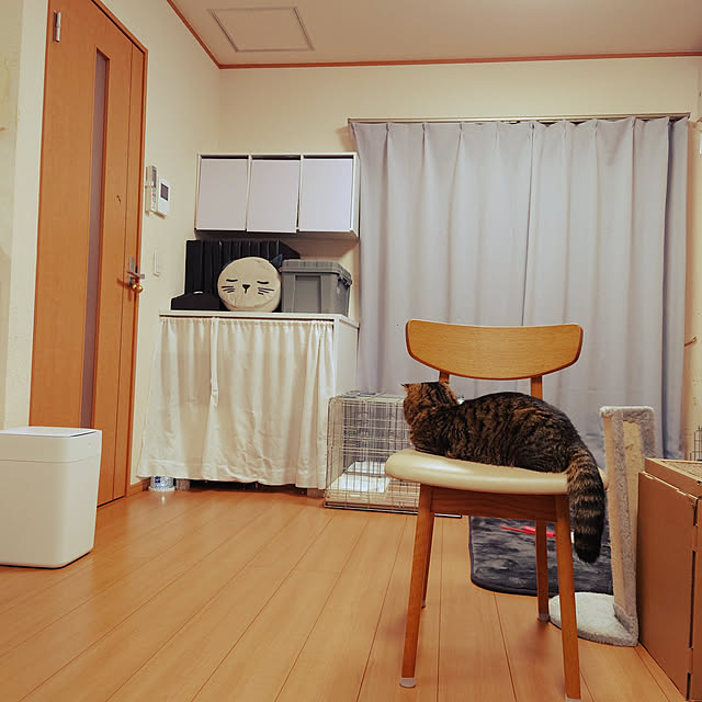 noguriさんの実例写真