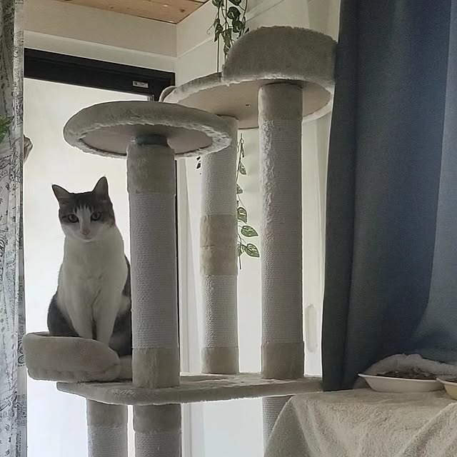 mori_6_12さんの実例写真