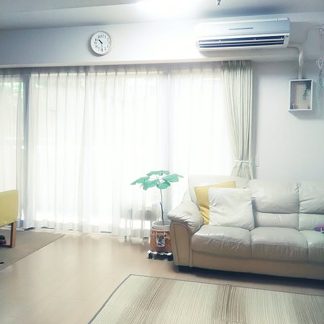 babypoohさんの実例写真