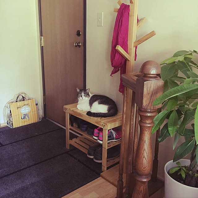 Keiさんの実例写真