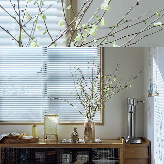 hinatabirdさんの部屋