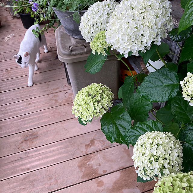 izumiさんの部屋