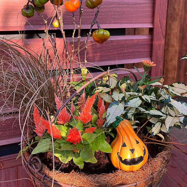 ikubooさんの部屋