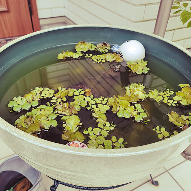 masaさんの実例写真
