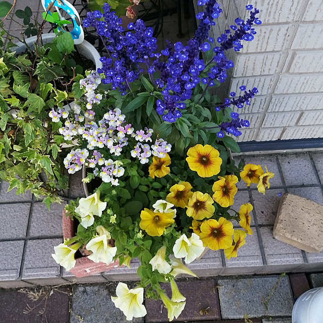Kinanさんの実例写真