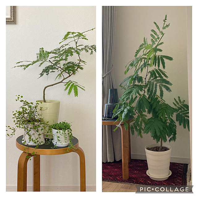 kaoさんの部屋