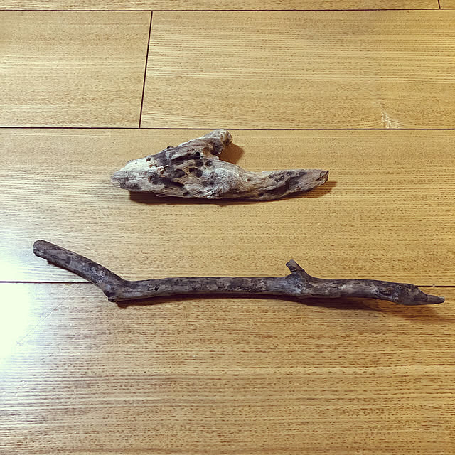 adamoさんの実例写真