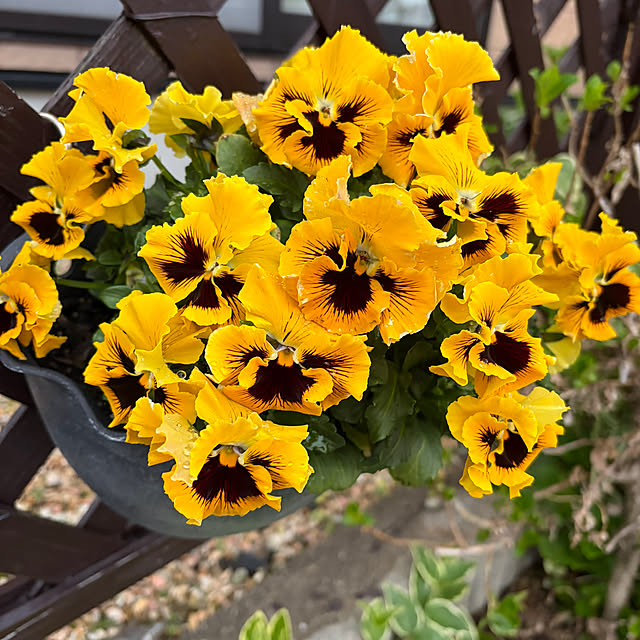 ritsukoさんの部屋