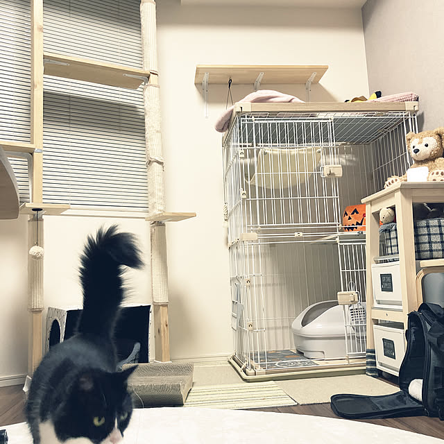 yonejiさんの実例写真