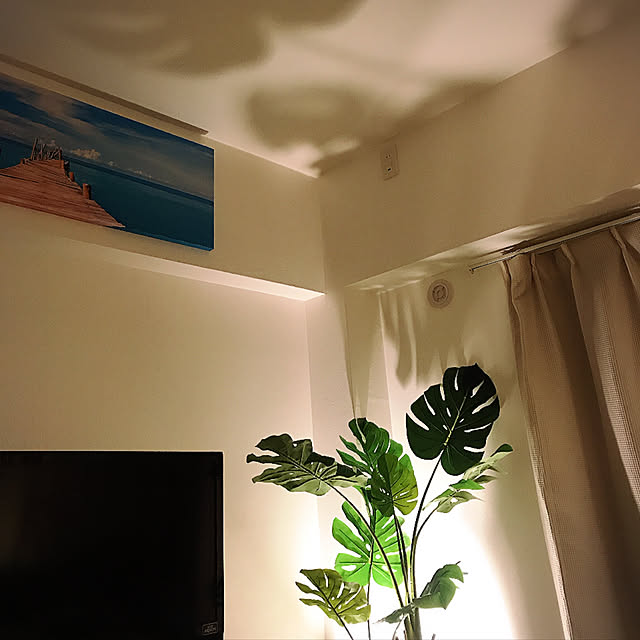 epipiriさんの実例写真