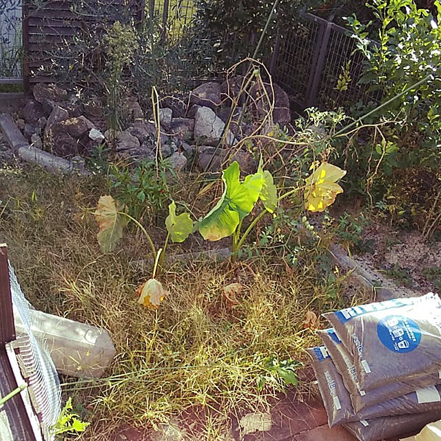 YuKwnさんの実例写真