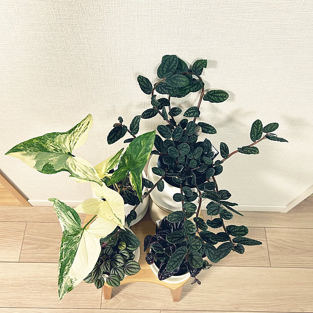 yoyoyoさんの部屋