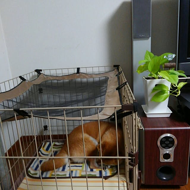 suzuranran1さんの実例写真