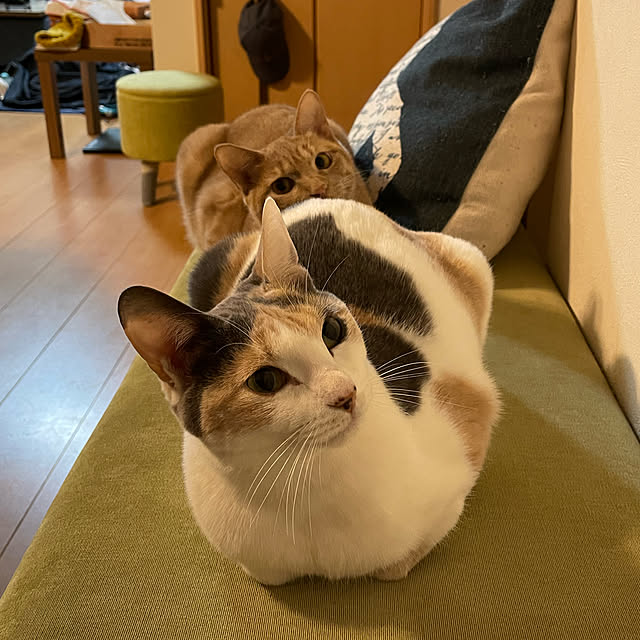 y_09khsm23さんの実例写真