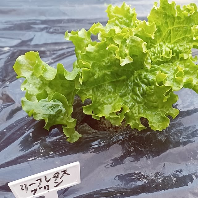 hiro.904さんの部屋