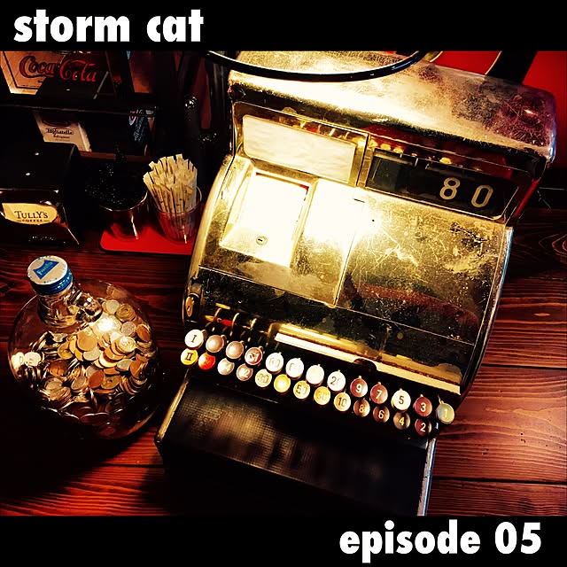 stormcatさんの実例写真