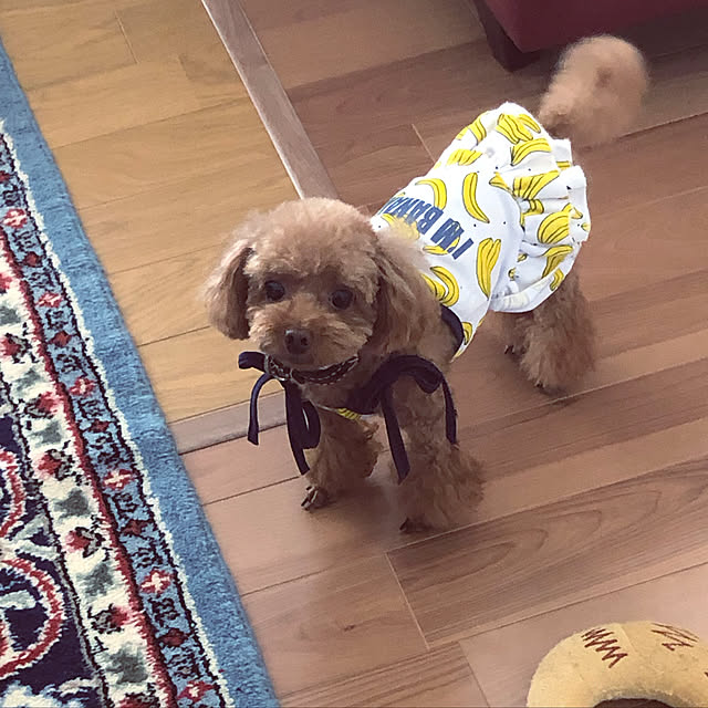 Tiaraさんの実例写真
