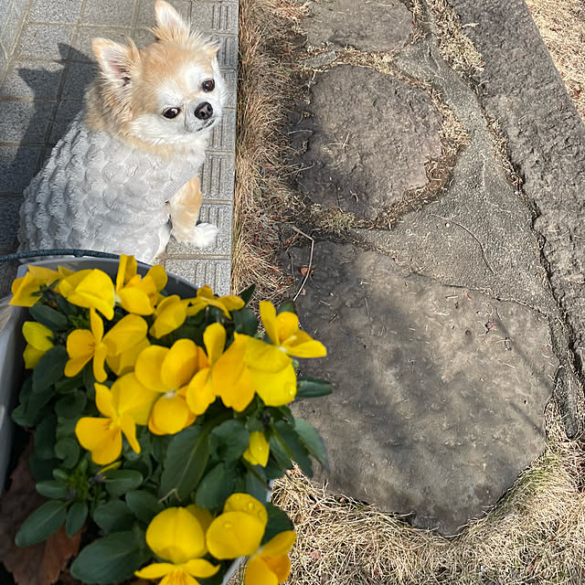 natsumiさんの部屋