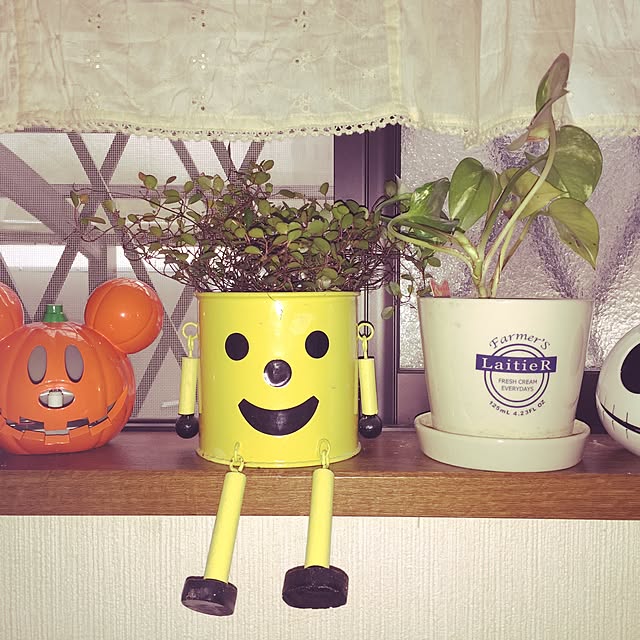 anmiさんの実例写真