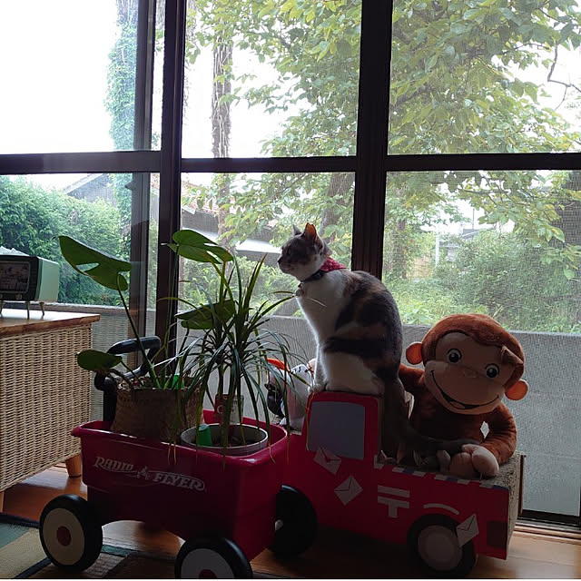 fukuさんの実例写真