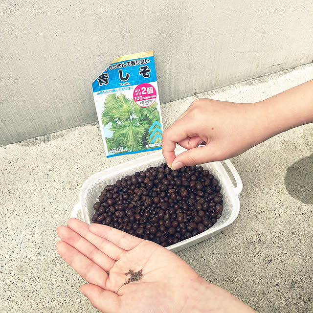 keep_patienceさんの実例写真