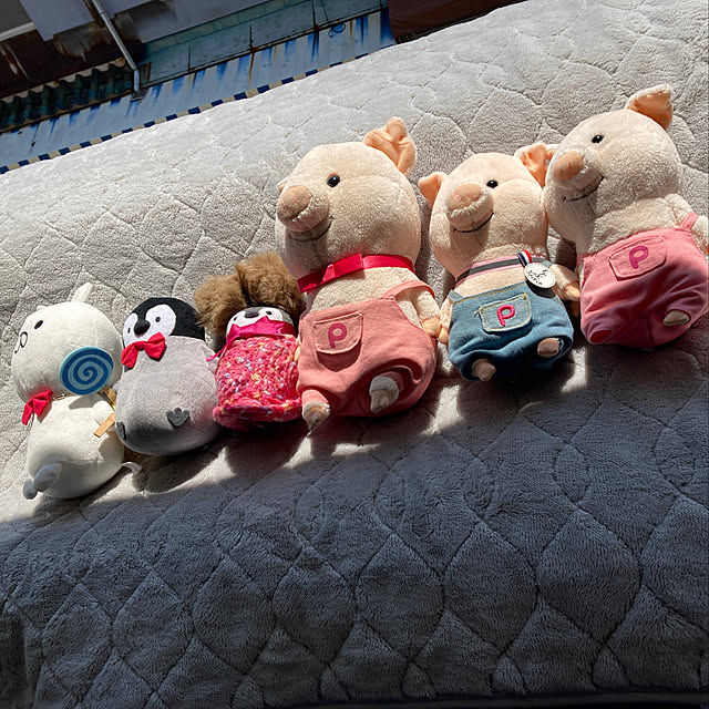 masaさんの実例写真