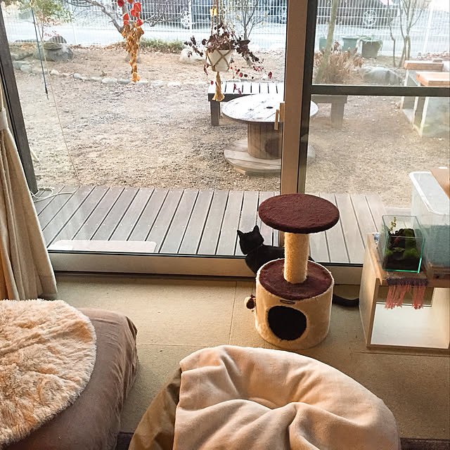 nanaさんの実例写真