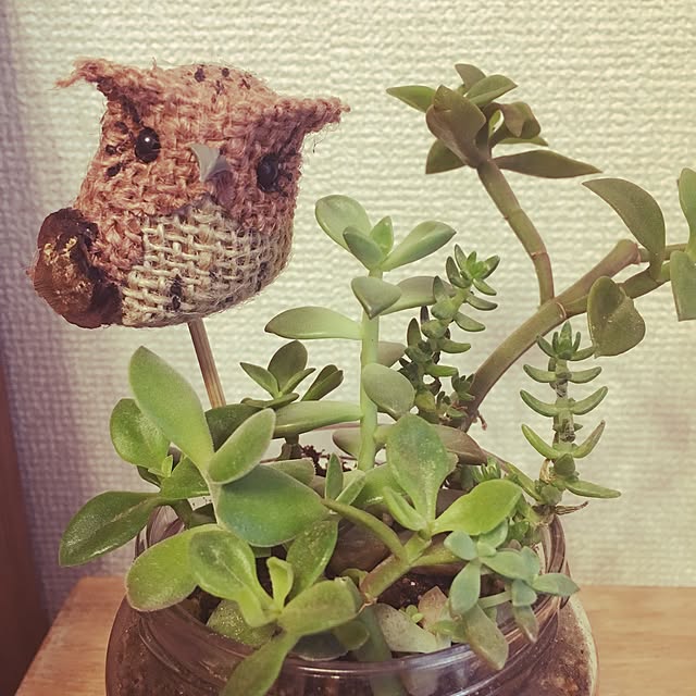 My365さんの実例写真