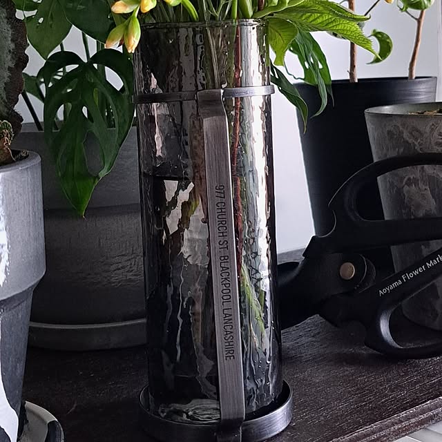 noaさんの部屋