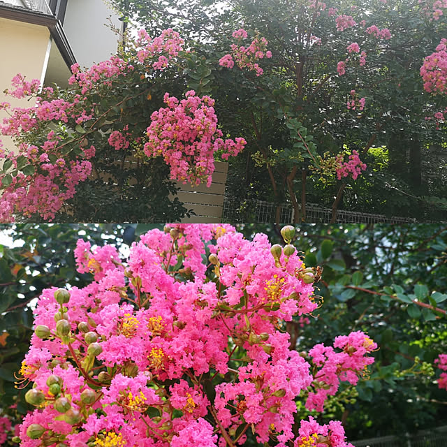 yuhさんの実例写真