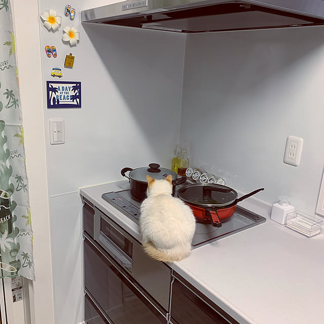 haryu1202さんの実例写真