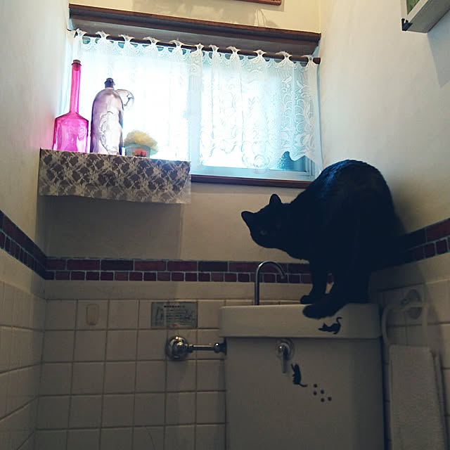 taleo07さんの実例写真