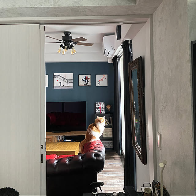 実例写真