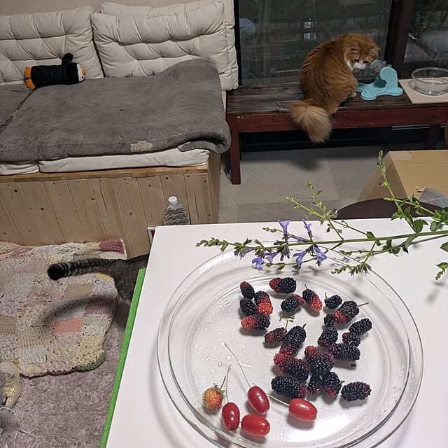 mori_6_12さんの部屋