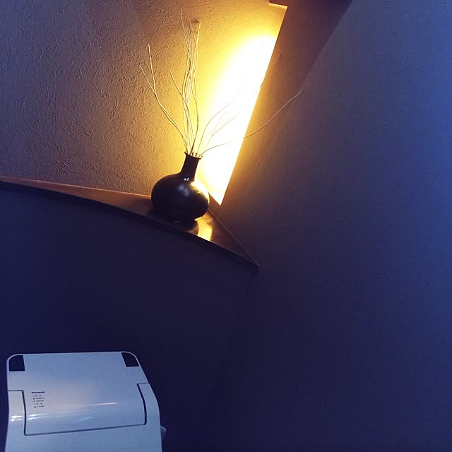 monchiさんの実例写真